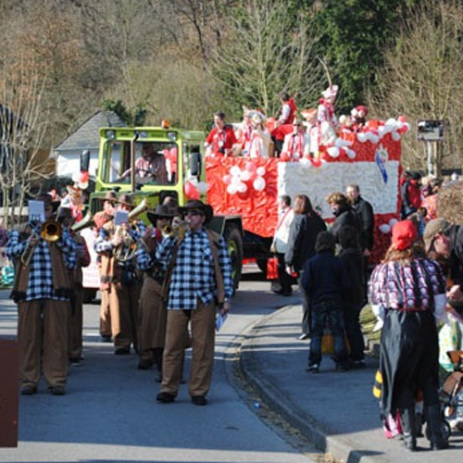 08.03.11 - Veilchendienstagszug bei herrlichem Sonnenschein